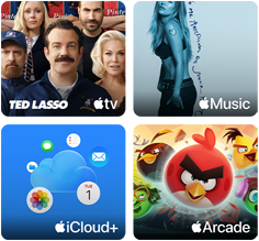 Recuadros de Apple One: Apple TV, Apple Music, iCloud+ y Apple Arcade